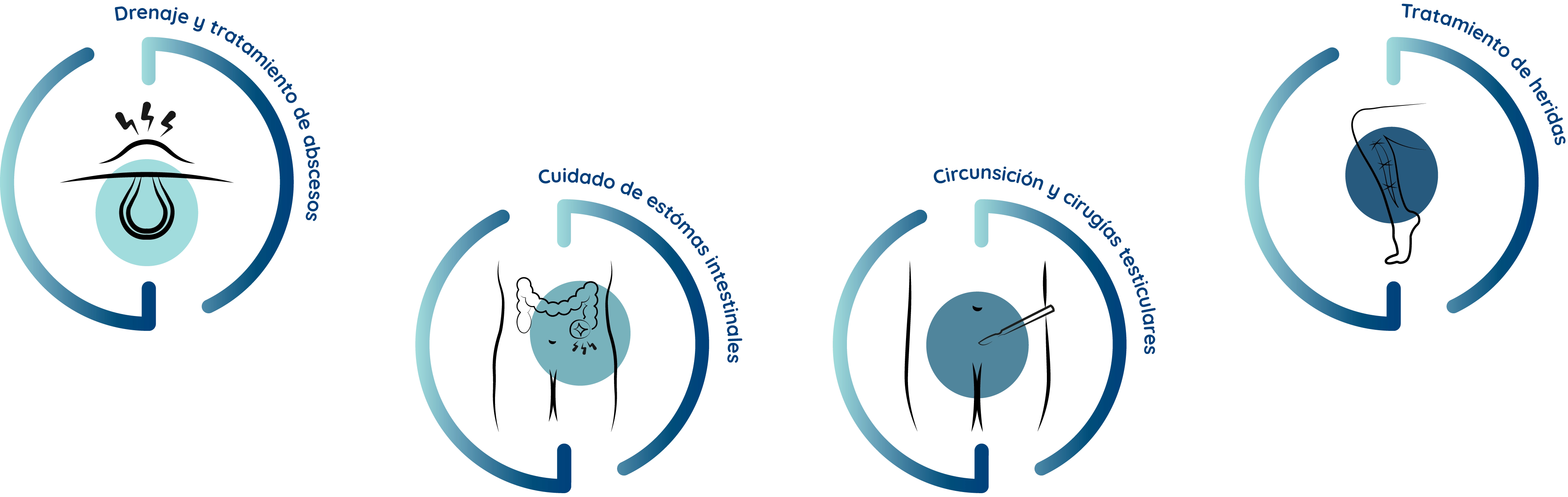 Información de experiencia clínica